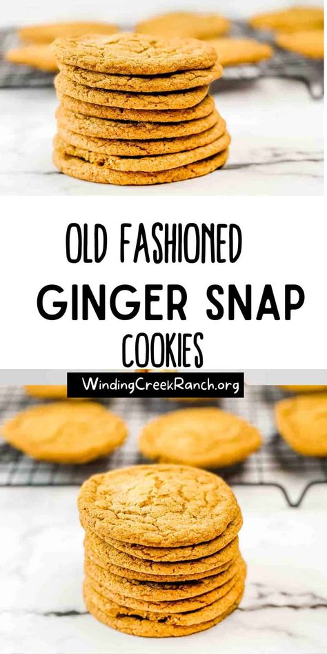 Pumpkin Ginger Snap Cookies, Ginger Snap Cookies Recipe, Ginger Snaps Recipe, Best Holiday Cookies, Crispy Cookies, Cookie Spread, Ginger Snap Cookies, Ginger Snap, Tea Cookies