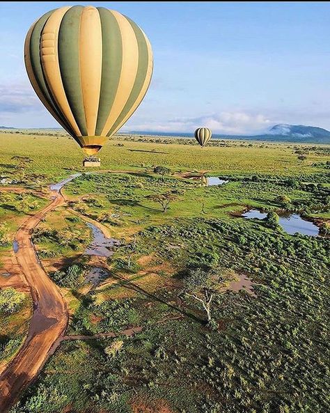 Swahili Culture, Wildebeest Migration, Tanzania Travel, Kenya Safari, Tanzania Safari, Serengeti National Park, Safari Adventure, Beautiful Places On Earth, Africa Travel