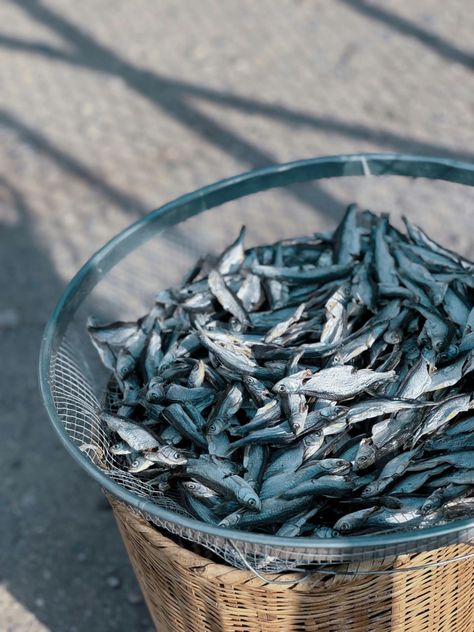 1-Sprats Top Oily Fish - Marketing Top Content Oily Fish, Pelagic Fish, Tiny Fish, Food Source, Fish Sauce, The Atlantic, A Group, Pasta Dishes, Tapas