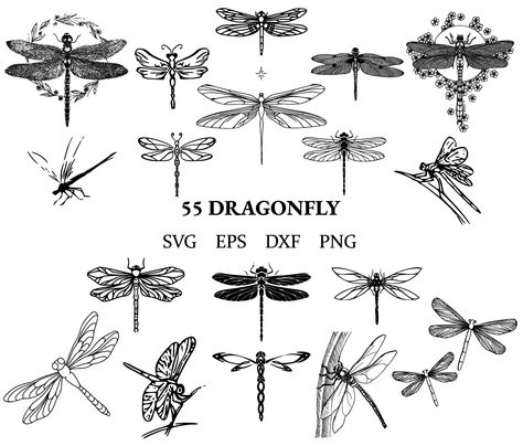 Svg Dragonfly, Quilled Butterflies, Dragonfly Art Nouveau, Dragonfly Svg, Headstone Ideas, Dragonfly Clipart, Small Dragonfly Tattoo, Forest Vibes, Dragonfly Tattoo Design