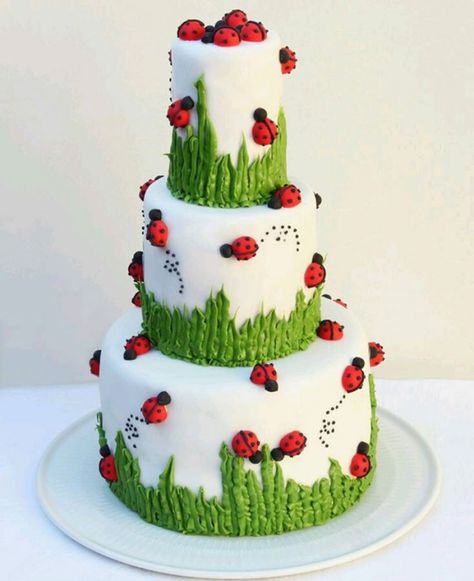 Ladybug Cake...adorable! Kue Fondant, Ladybird Cake, Ladybug Cakes, Bug Cake, Ladybug Cake, Simple Garden, Spring Cake, Novelty Cakes, Occasion Cakes