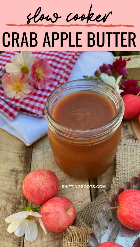 Maple spiced crab apple butter is an easy canning recipe to cook up in the slow cooker or crock pot.  Yes, it's glorified applesauce, but it's so delicious you won't care. #crabapple #applebutter #slowcooker #crockpot Crab Apple Butter Crock Pot, Crab Apple Apple Butter, Crab Apple Canning Recipes, What To Make With Crab Apples, Crab Apple Jelly Easy, Crab Apple Preserves, Crabapple Butter Recipes, Spiced Crab Apple Recipes, Crab Apple Butter Recipes