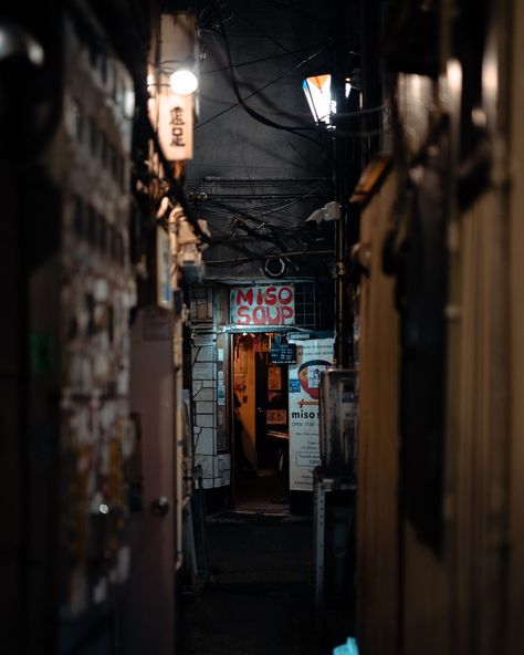 Kabukicho Alley, Tokyo Kabukicho Aesthetic, Tokyo Alley, Japanese Neighborhood, Kabukicho, Japanese Travel, Dragon Series, Jirai Kei, Japan Aesthetic, April 25