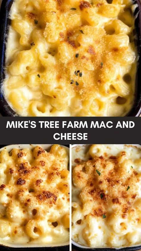 Mike’s tree farm mac and cheese – Culinary Chase Mikes Farm Mac And Cheese, Gourmet Mac And Cheese, Buffalo Mac And Cheese, Cheese Pairings, Meat Dinners, Pasta Salad Italian, Grilled Veggies, Mac N Cheese Recipe, Cheese Flavor