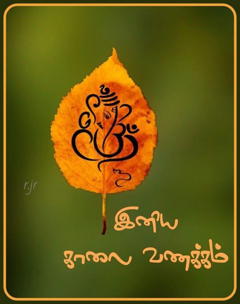 Good Morning Tamil Image, Good Morning Quotes Tamil, Gud Mrng Images, Good Morning Tamil, Tamil Wishes, Gud Morning Images, Gd Mrng, Morning Massage, Invoice Format