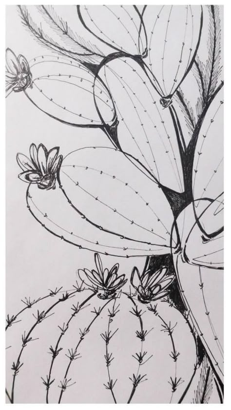 Desert Sketch Drawing, Cactus Sketch, Cactus Paintings, Cactus Drawing, Cactus Painting, Desert Art, Cactus Art, Southwest Art, Zentangle Art