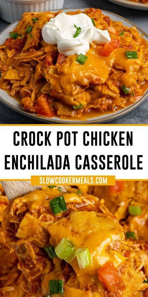 Chx Crockpot Recipes, Fall Crockpot Meals Easy Recipes, Easy Meals For Dinner Few Ingredients, The Best Chicken Crockpot Recipes, Easy Busy Mom Dinners, Healthy Chicken Enchiladas Crock Pot, Easy Crockpot Chicken Recipes Mexican, Chicken Enchiladas Slow Cooker Recipes, Enchilada Casserole In Crockpot