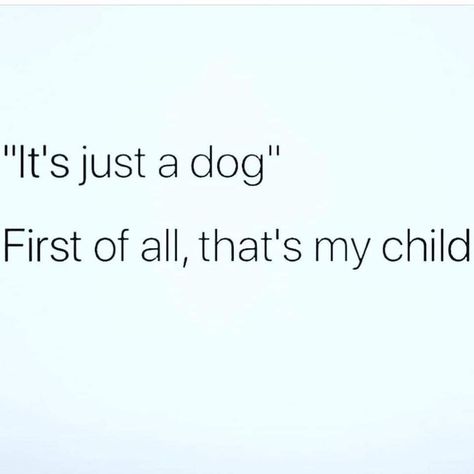 Dog Mom Quotes, Dog Mama, Crazy Dog, Animal Quotes, Dog Quotes, Dog Life, I Love Dogs, Make Me Happy, Dog Love