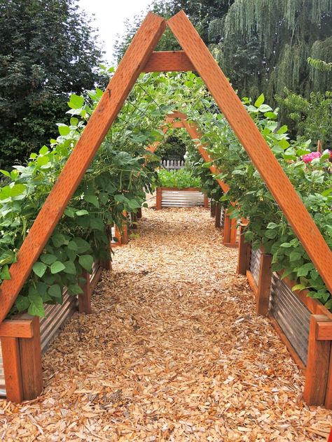 Beautiful vertical gardening/ This might work for cucumbers & other viney crops. Vertical Vegetable Gardens, Vege Garden, Garden Raised Beds, Vegetable Gardening Ideas, Veggie Gardens, Vertical Vegetable Garden, Raised Bed Gardening, Plants Growing, Garden Types