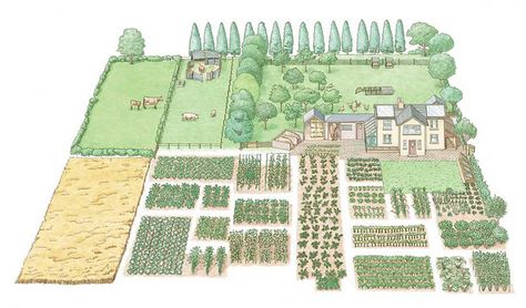 Lovely little illustration of a small self-sufficient farm. Kebun Herbal, Homestead Layout, Self Sufficient Homestead, Self Sustaining, Acre Homestead, Modern Homesteading, Farm Layout, Future Farms, Desain Lanskap