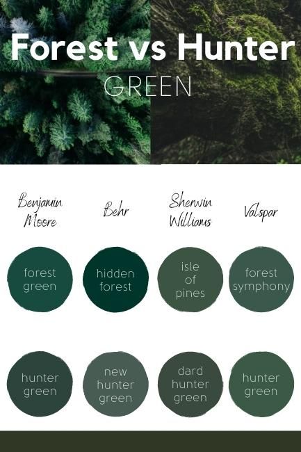 Rainforest Green Paint, 2023 Dark Green Paint Color, Sherwin Williams Essex Green, Behr Hunter Green Paint, Dark Green Paint Pallet, Benjamin Moore Mallard Green, Benjamin Moore Sherwood Forest, Hunter Green Paint Colors Behr, Dark Mossy Green Paint Colors