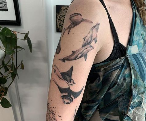 Aquatic Forearm Tattoo, Ocean Animal Sleeve Tattoo, Ocean Dolphin Tattoo, Sea Animals Tattoo Sleeve, Zoology Tattoo Ideas, Ocean Sleeve Tattoos For Women, Marine Life Sleeve Tattoo, Sea Animal Tattoos Sleeve, Aquatic Animal Tattoos