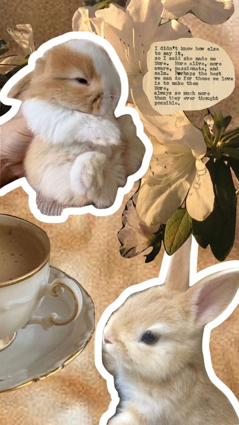 #myfirstshuffle #bunnies #goldenhour #aesthetic #collage #moodboard Fall Bunny Wallpaper, Rabbit Wallpaper Aesthetic, Bunny Collage, Goldenhour Aesthetic, Collage Moodboard, Rabbit Wallpaper, Bunny Wallpaper, Aesthetic Life, Brown Wallpaper