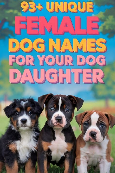 Three dogs with a background of nature. A title about female dog names for your dog daughter. Girl Puppy Names Unique, Clever Dog Names, Best Girl Dog Names, Rare Dog Names, Puppy Names Unique, Girl Pet Names, Dog Names Girl, Girl Dog Names Unique, Puppies Names Female