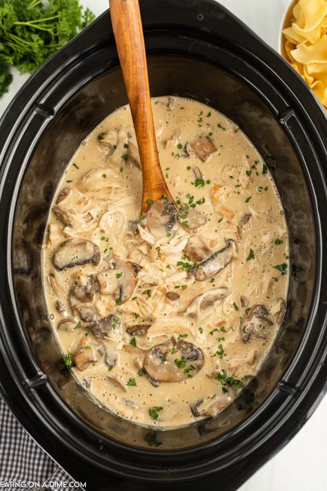 Slow Cooker Chicken Stroganoff Turkey Stroganoff Crockpot, Chicken Stroganoff Recipe Slow Cooker, Chicken Stroganoff Crock Pot, Crockpot Chicken Stroganoff, Crock Pot Stroganoff, Slow Cooker Chicken Stroganoff, Chicken Stroganoff Recipe, Creamy Ranch Chicken Recipe, Turkey Stroganoff