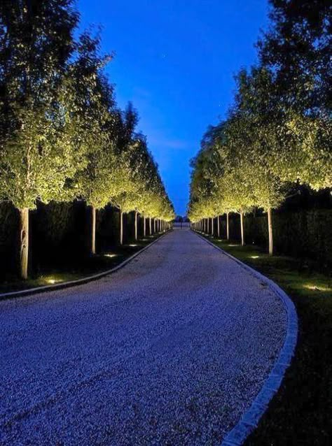 Driveway Lighting, Landscape Lighting Design, Driveway Entrance, Driveway Design, Driveway Landscaping, Long Driveways, Easy Landscaping, Traditional Landscape, Cool Landscapes