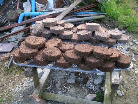 DIY ~ Bio fuel briquettes, compress paper pulp and sawdust into fuel bricks. Paper Pulp, Homestead Survival, Emergency Prepping, Wood Burner, Camping Survival, Survival Prepping, Fire Starters, Alternative Energy, Back To Nature