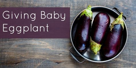 Eggplant Baby Food Recipes & More | Wholesome Homemade Baby Food Recipes Homemade Baby Food Recipes, Baby Food By Age, Baby Eggplant, Baby Food Chart, Toddler Breakfast, Baby & Toddler Food, Baby Puree Recipes, Baby Puree, Food Tags