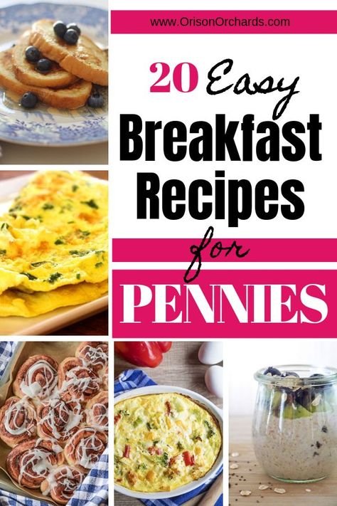 Looking for some easy breakfast recipes for those crazy busy mornings? Wouldn't it be great if they were budget friendly, too? Look no further! You'll love all of these cheap, easy, protein-packed breakfast recipes. #breakfast #frugalmeals #budgetmeals #frugalfamily #budgetcooking Breakfast On A Budget, Birthday Cake Recipes, Recipes Budget, Easy Breakfast Recipes, Budget Freezer Meals, Budget Recipes, Family Breakfast, Inexpensive Meals, Protein Packed Breakfast