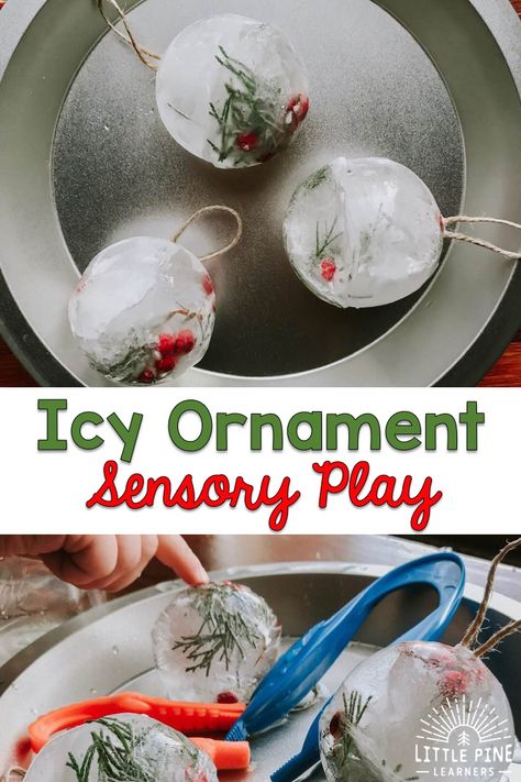 Here is a fun and simple ice sensory activity to try this winter! These ice spheres look just like Christmas bauble ornaments, making it the perfect sensory activity to try this holiday season! Baby Sensory Christmas Ideas, Christmas Water Play Ideas, Ece Christmas Ideas, Sen Christmas Activities, Baby Winter Sensory Play, Children’s Christmas Activities, Reggio Christmas Ornaments, Christmas Activities Early Years, December Activities For Infants