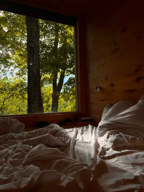 Mountains Cabin Aesthetic, Romantic Cabin In The Woods, Coffee In The Forest, Living In The Forest Life, Cabin Inside Aesthetic, Cosy Cabin Aesthetic, Secluded Cabin Aesthetic, Autumn Cabin Aesthetic, Camping Cabin Aesthetic