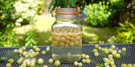 Victoria's gooseberry gin recipe makes the most of these gloriously tangy berries, perfect for a host of refreshing cocktails. Gooseberry Gin, Gin Recipe, Gooseberry Recipes, Blackberry Gin, Blueberry Gin, Strawberry Gin, Raspberry Gin, Rhubarb Gin, Happy Juice