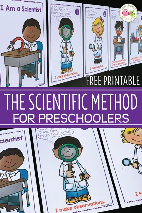 Kindergarten Science Station, Science Shelf Ideas, Scientific Method For Preschoolers, Scientist Preschool Activities, Reggio Science Activities Preschool, Preschool Scientific Method, Science And Discovery For Preschoolers, Science Books For Preschool, Science Area Ideas For Preschool