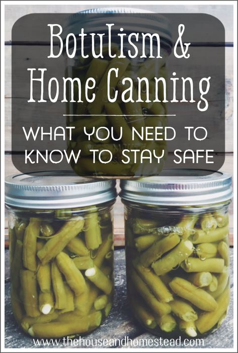 Preserve Vegetables, Organized Finances, Easy Canning, Canning Kitchen, Pressure Canning Recipes, Food Preserving, Canning 101, Low Acid Recipes, Home Canning Recipes