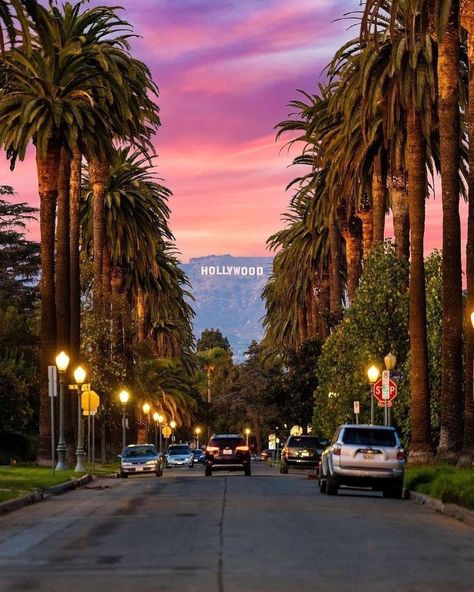 Tripscout Los Angeles on Instagram: “Streets of Hollywood.🌴 Where’s you favorite place to watch sunset?😍👇 📸:@ejimmy3 #hollywoodsign #discoverla #visitcalifornia…” Watch Sunset, Los Angeles Wallpaper, Los Angeles Aesthetic, California Vibe, Los Angeles Travel, California Summer, Los Angeles City, Santa Barbara California, Hollywood Sign