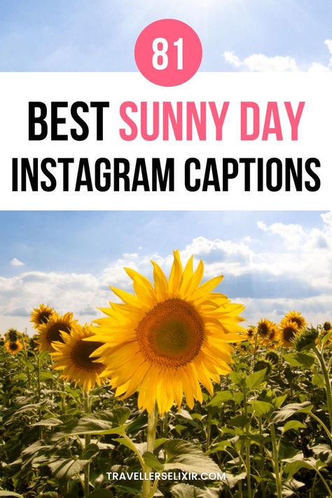 Best sun Instagram captions & quotes Quotes Sunny Day, Captions For Instagram Sunshine, Sunny Days Captions For Instagram, Caption For A Day Out, Nice Weather Captions, Sunny Instagram Caption, Sunny Insta Captions, Sunshine Letter Board Quotes, Sunday Outing Captions