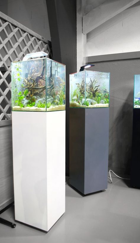 Modern Aquarium Designs to Elevate Your Living Room

Looking for **small studio apartment ideas**? Enhance your **home décor** with stylish aquarium setups that bring a **warm home aesthetic** and elevate your **living room decoration**. #ApartmentDecor #AquariumInspiration Modern Aquarium, Aquarium Diy, Aquarium Cabinet, Biotope Aquarium, Aquarium Stands, Amazing Aquariums, Cool Fish Tanks, Aquarium Stand, Nano Aquarium