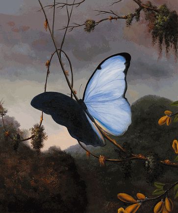 The Symbols of Renewal, Rebirth, Resurrection and Transformation in Art. Martin Johnson Heade, Evans Art, Martin Johnson, Blue Morpho Butterfly, Morpho Butterfly, Blue Morpho, Art Corner, Butterfly Painting, Oil Painting Reproductions