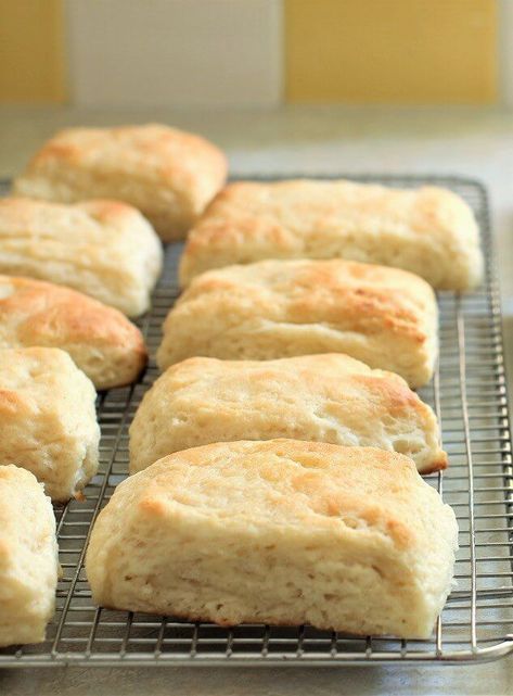 Gluten Free Greek Yogurt Biscuits, Quick Gluten Free Biscuits, Fluffy Gluten Free Biscuits, Gluten Free Sour Cream Biscuits, Gluten Free Biscuits Recipe, Gluten Free Biscuits Easy, Gluten Free Baking Powder Biscuits, Gf Wraps, Gluten Free Biscuit Recipe