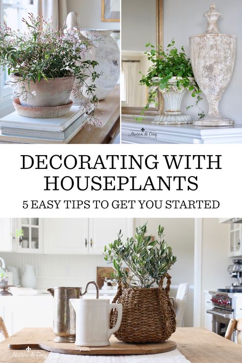 Do you want to decorate with plants but don't know where to start, or struggle to keep plants alive? Today we're sharing 5 EASY tips for decorating with houseplants! These tips will help you choose the best plants for your home as well as give you some styling tips!--->#maisondecinq houseplants decoratingwithhouseplants decoratingwithplants indoorplants decoratingwithindoorplants decorideas homedecor homedecorating homedecoratingtips decoratingideas Farmhouse Decor With Plants, Indoor Pot Plants Styling, Classy Plant Decor, House Plant Display Ideas Living Room, Styling Indoor Plants Living Rooms, Ways To Decorate With Plants, How To Use Plants As Decor, How To Add Plants To Your Home, How To Incorporate Plants In Your Home