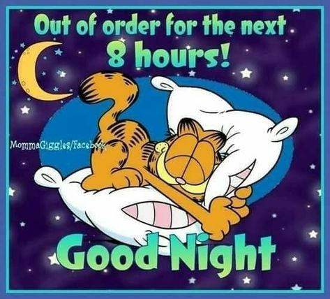 Goodnight Quotes For Him, Garfield Quotes, Funny Good Morning Messages, Funny Good Morning, Funny Good Morning Images, Garfield The Cat, Good Night Funny, Sleep Funny, Cute Good Night