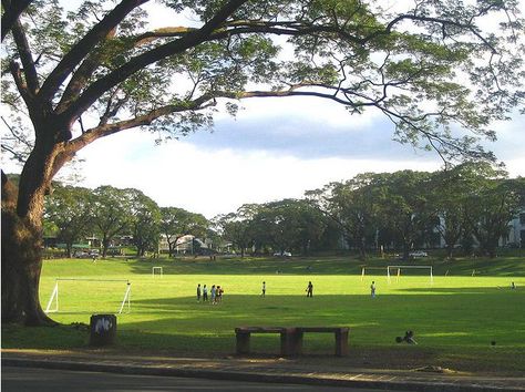 Sunken Garden Up Diliman Aesthetic, Up Sunken Garden, Sunken Garden Up Diliman, School Garden Aesthetic, University Of The Philippines Diliman, Up Diliman, University Of Santo Tomas, Calming Pictures, Philippines Culture