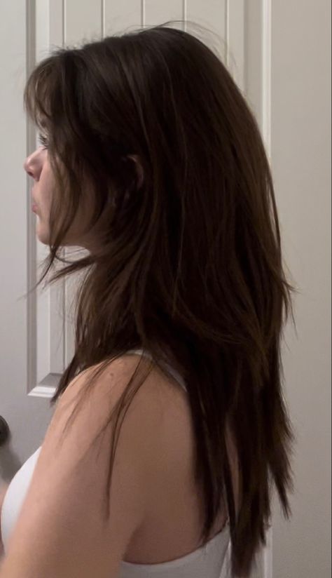 Black Hair Long Hairstyles, Wolfcut Hair Long No Bangs, Alt Girl Haircuts Long, Long Layered Hair Waist Length, Long Wold Cuts, Messy Long Haircut, Long Soft Wolfcut, Good Haircuts For Long Hair, Lesbian Haircut Long Hair