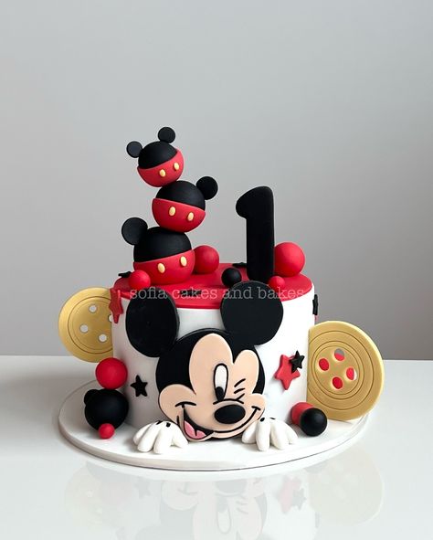 Modern Christmas Cake, Cake Decorating Ideas Christmas, Christmas Cake Design, Baby Mickey Mouse Cake, Christmas Cake Decorating Ideas, Christmas Cake Decorating, Nightmare Before Christmas Cake, Dried Citrus, Mickey And Minnie Cake