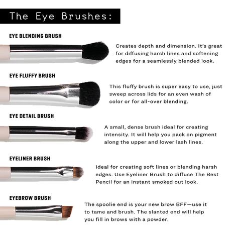 Eyeshadow Brushes Guide Cheat Sheets, Eyeshadow Brushes Guide, Makeup Tutorial Foundation Flawless Face, Kate Talbert, Makeup Utensils, Jones Road, Kuas Makeup, Makeup Life Hacks, Makeup Pictorial