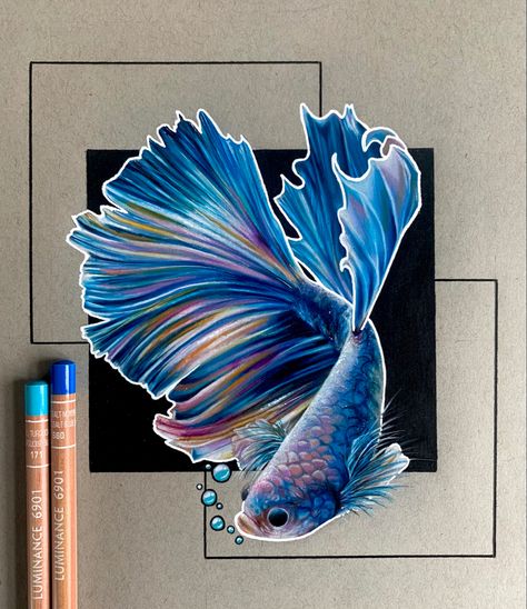 Fish Color Pencil Drawing, Realistic Fish Drawing, Pencil Color Drawing Easy, Color Pencil Art Realistic, Pencil Colour Art, Colour Pencil Art, Coloured Pencil Art, Easy Drawing Step By Step, Drawn Fish