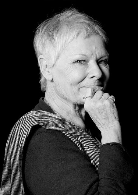 judi dench See her in Marigold Hotel (the name is longer I just shortened it) I hope you don't mind? ;-) Judy Dench, Tony Award, Septième Art, Judi Dench, Actrices Hollywood, Michelle Williams, Celebrity Portraits, Sophia Loren, Famous Women