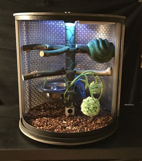 New style Green Tree Python enclosure. Green Tree Python Enclosure, Python Vivarium, Diy Reptile Enclosure, Ball Python Enclosure Ideas, Monitor Enclosure, Python Enclosure, Green Tree Python, Bioactive Vivarium, Large Paper Flowers Diy