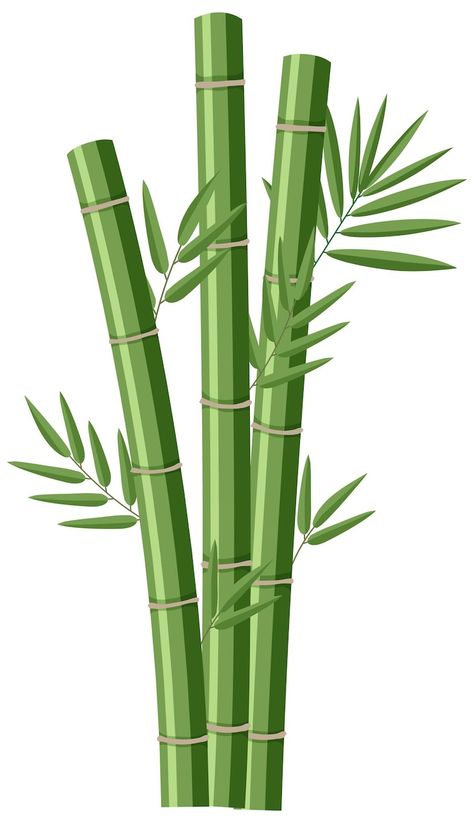 Free Vector | Free vector isolated bamboos on white background Bamboo Drawing, Bamboo Tree, Baby Dress Design, Tree Images, Drawing Simple, Premium Colors, Tree Drawing, Psd Files, Dress Design