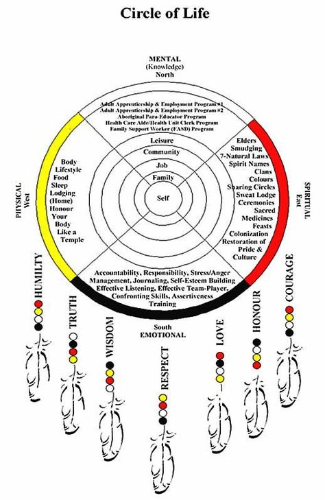 Atrapasueños Diy, Dream Catcher Patterns, Dream Catcher Tutorial, The Circle Of Life, Dream Catcher Native American, Dream Catcher Craft, Dream Symbols, Medicine Wheel, Nativity Crafts