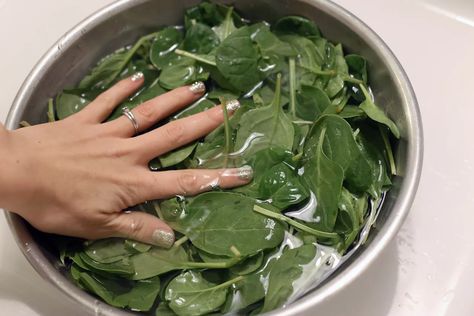 How to Cook Malabar Spinach | livestrong Cooked Spinach Recipes, Fresh Spinach Recipes, Cook Spinach, Cook Fresh Spinach, Spinach Side Dish, Spinach Recipes Healthy, Cooking Pork Roast, Steamed Spinach, Fresh Spinach