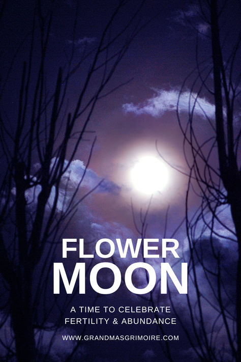 The Flower Moon: Celebrating Fertility and Abundance Full Moon Flowers, Flower Moon Meaning, Pagan Practices, Fool Moon, Healing Circle, Moon Healing, May Full Moon, Moon Meaning, The Wheel Of The Year