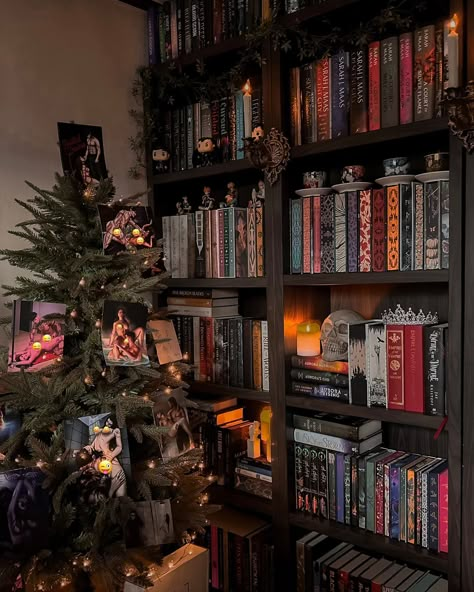 Bookshelves Aesthetic, Christmas Bookshelf, Library Rooms, Library Girl, Home Library Rooms, Spooky Aesthetic, Aesthetic Reading, Bookshelf Inspiration, Im So Happy