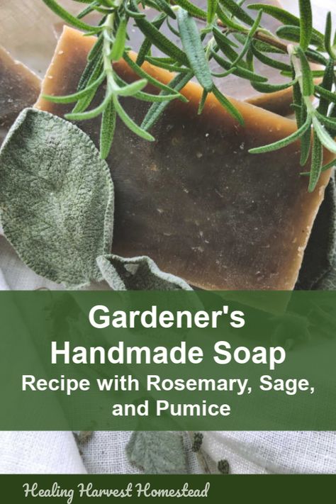 Healing Harvest Homestead, Sage Soap Recipe, Gardeners Cold Process Soap Recipe, Aloe Soap Recipe, Hot Process Soap Recipes, Antibacterial Herbs, Gardeners Soap Recipe, Rosemary Soap, Diy Soap Recipe