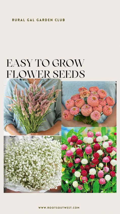 Bright colorful flowers that you can easily grow from seed. Flower garden. Filler Plants For Cut Flower Garden, Cut And Come Again Flowers, Cut Flower Garden For Beginners, Cut Flowers To Grow, Zone 9 Gardening, Flower Garden Layouts, Flower Garden For Beginners, Growing Cut Flowers, Flower Garden Plans