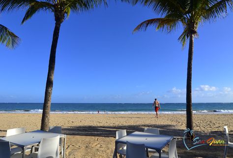 Ocean Park, laid back beach in San Juan, Puerto Rico. Guide to beach w/ map, directions, hotels, beach rentals, water sports, nearby attractions and beaches. Ocean Park Puerto Rico, Ocean Park, San Juan Puerto Rico, Beach Rentals, Water Sports, At The Beach, Puerto Rico, Places To Travel, Travel Destinations